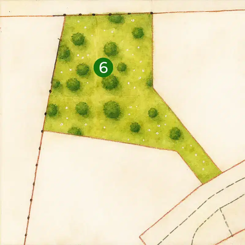 Illustration d’un terrain constructible de 500 m² à Plaisance-du-Touch, idéal pour une maison sur-mesure avec CELIA Création, dans un lotissement calme du sud-ouest.