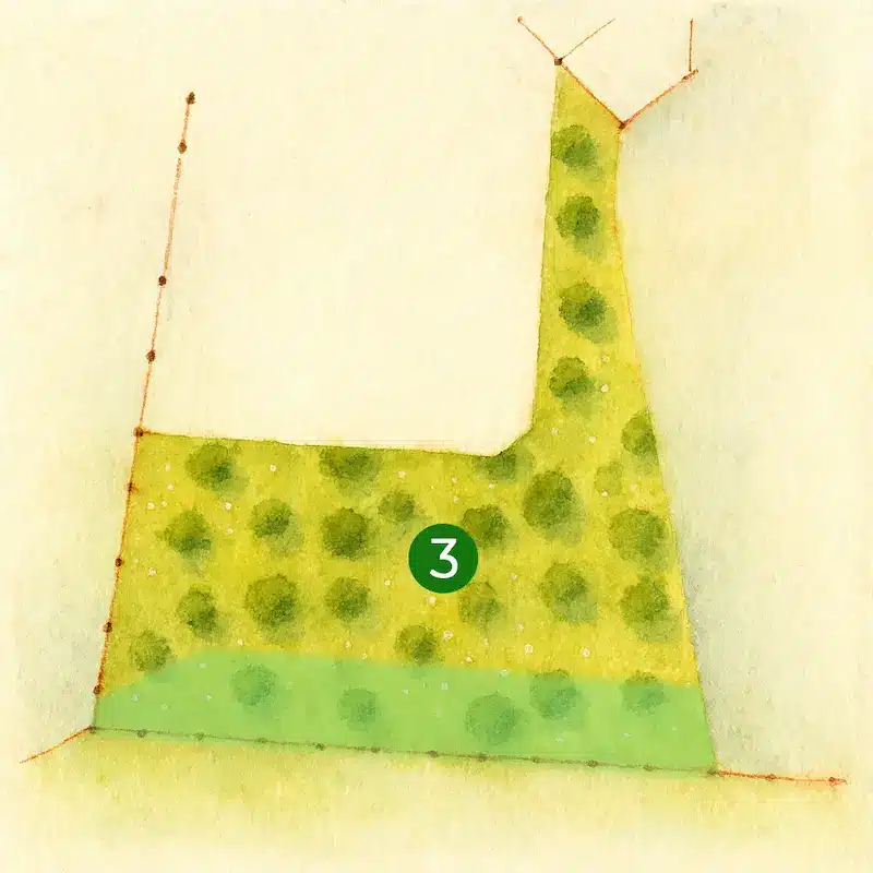 Vue illustrée du terrain viabilisé n°3 à Plaisance-du-Touch, destiné à la construction d’une maison sur-mesure avec CELIA Création, dans un environnement verdoyant