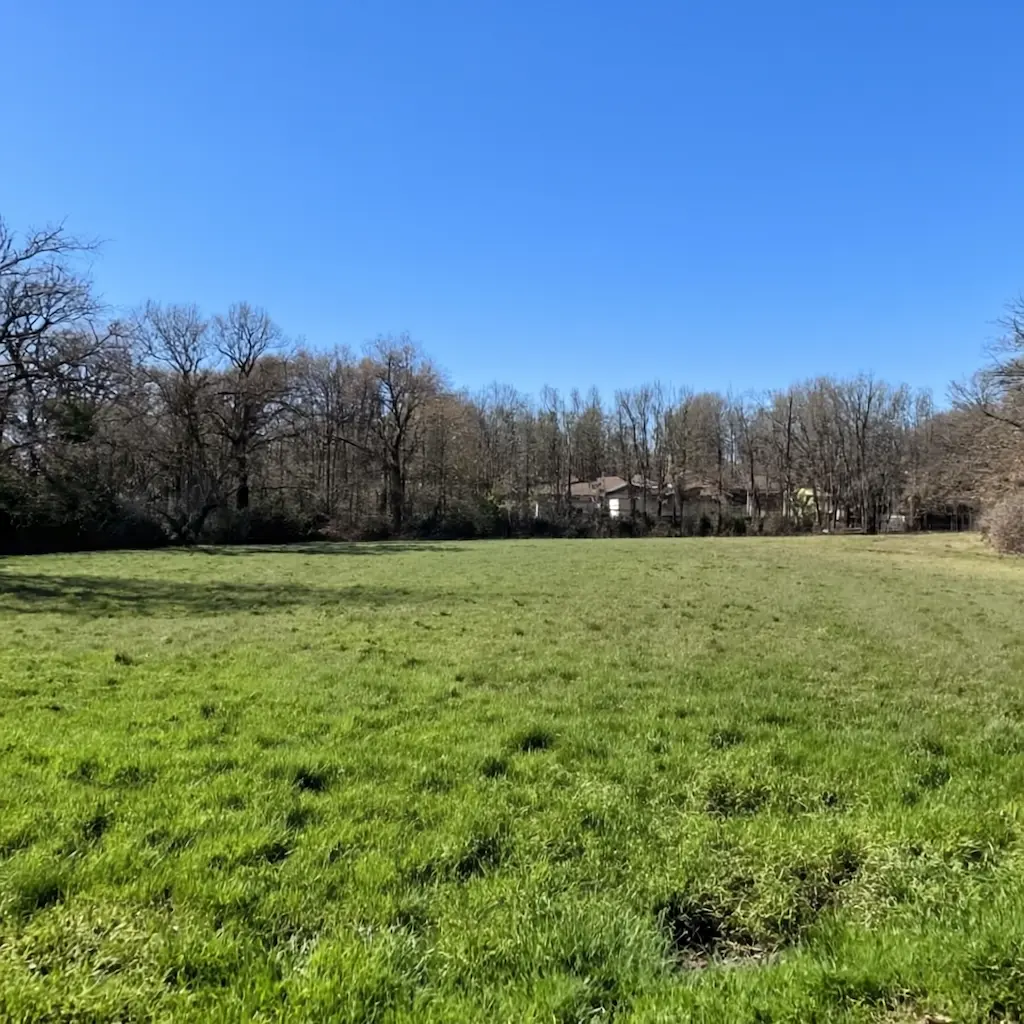 Terrain à bâtir à La Salvetat-Saint-Gilles pour projet de maison sur-mesure avec CELIA Création