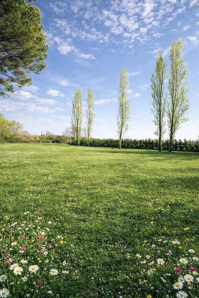 Terrain viabilisé plein sud à Gaillac dans le Tarn, idéal pour projet de maison sur-mesure avec constructeur maison individuelle CELIA Création