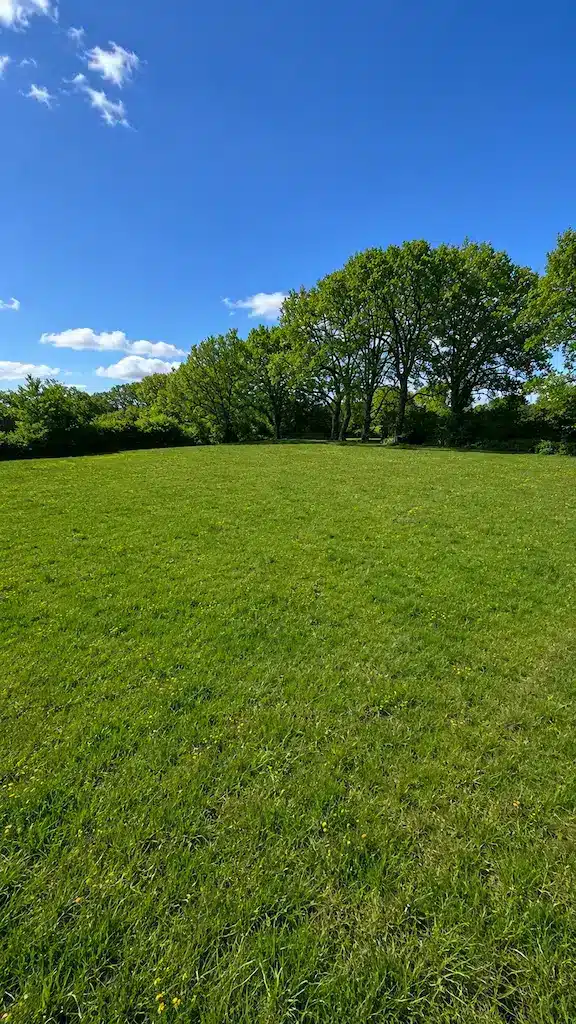 Terrain plat viabilisé de 1700 m2 à Pujaudran