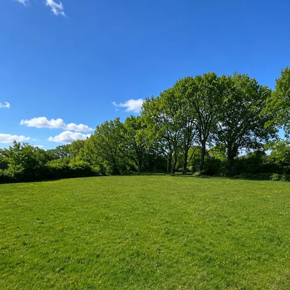 Terrain plat viabilisé de 1700 m2 à Pujaudran
