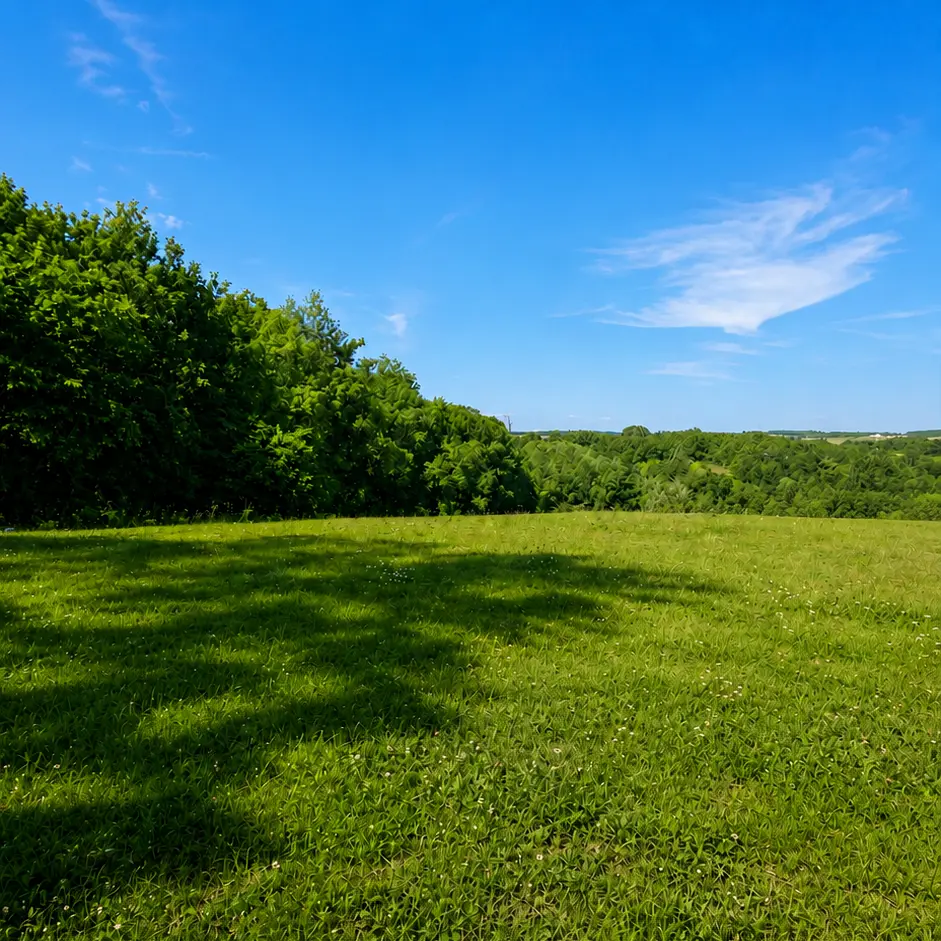 Terrain de 1250 m² à Monclar-de-Quercy avec environnement ouvert