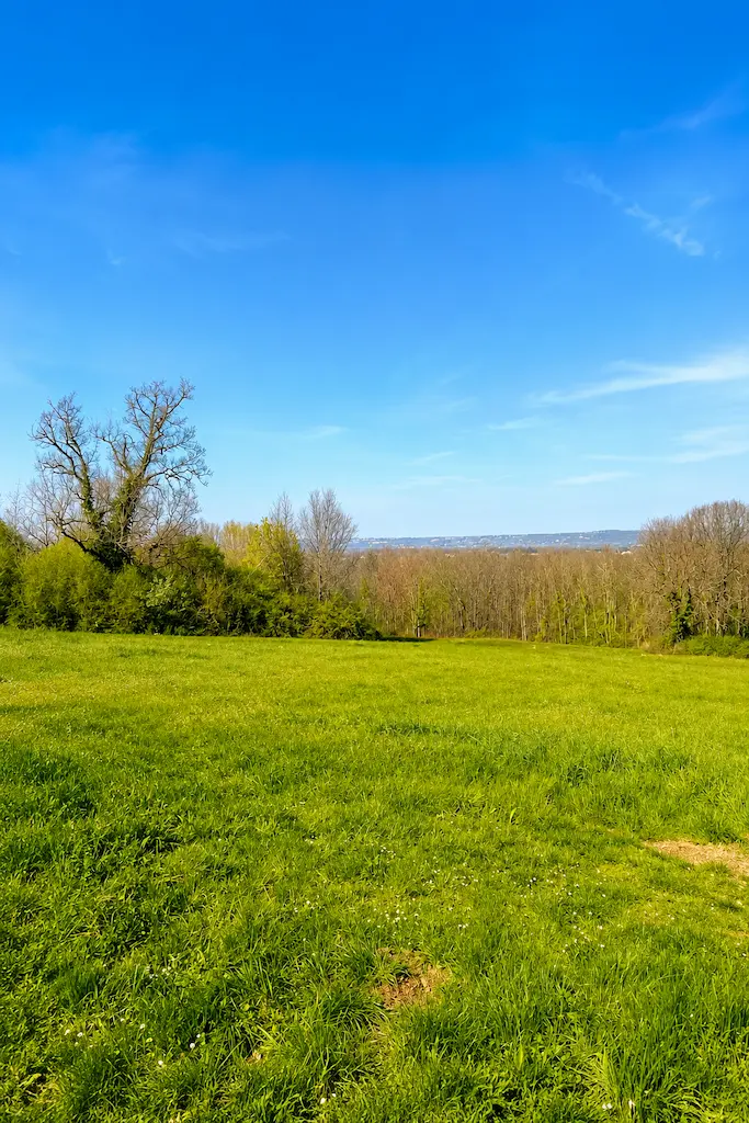 Grand terrain a Vacquiers dans un environnement calme et degage
